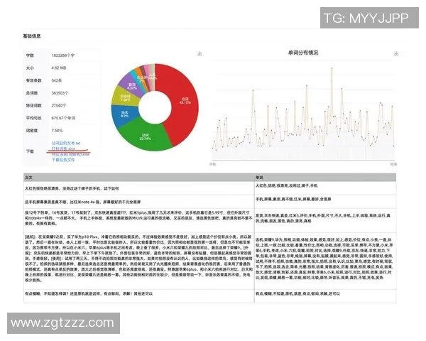 杭州街舞队技术表现全面解析与数据分析报告