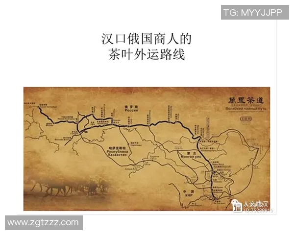 成都极限运动队如何实现整体压制革新与突破的深度探讨与分析