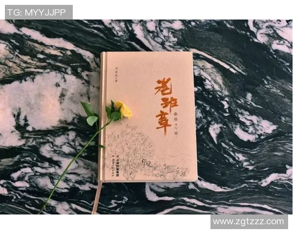 王军谈网球生涯：从青涩少年到职业选手的心路历程与成长故事